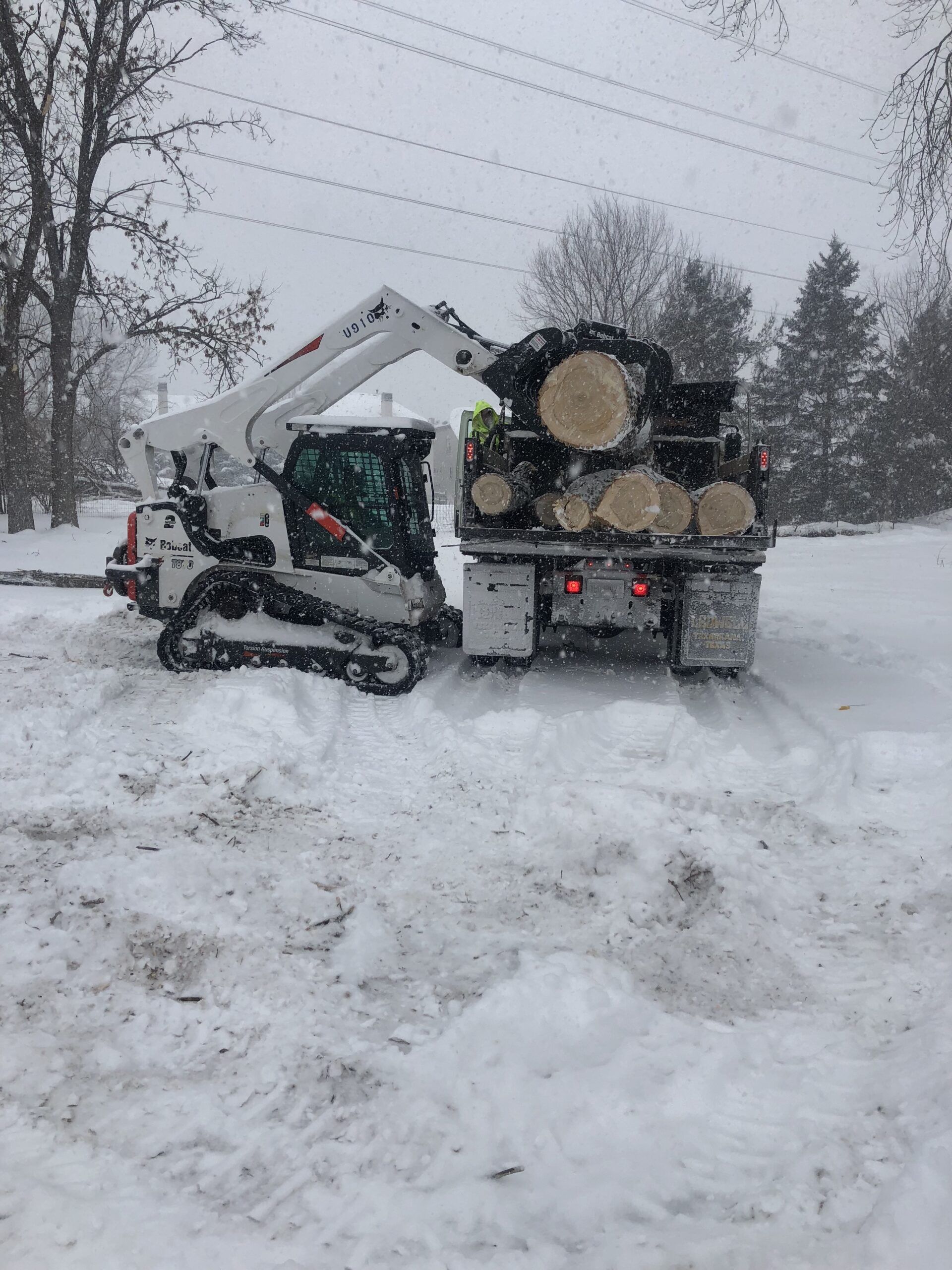 Bobcat loading trees on Lanracorp truck in winter and snow